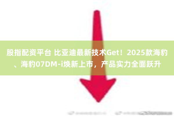 股指配资平台 比亚迪最新技术Get！2025款海豹、海豹07DM-i焕新上市，产品实力全面跃升