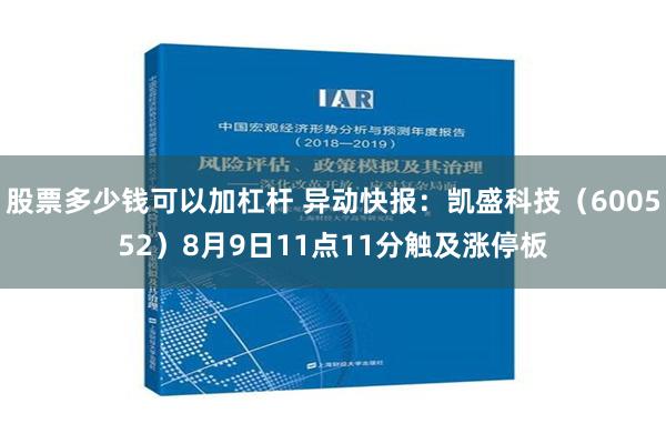 股票多少钱可以加杠杆 异动快报：凯盛科技（600552）8月9日11点11分触及涨停板